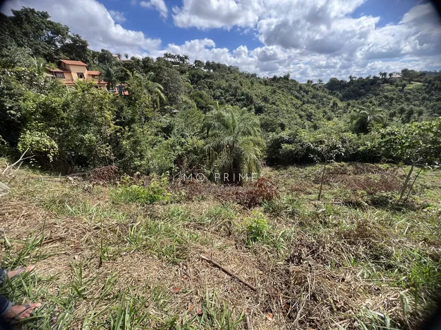 Imagem 13: Terreno Fundo para Um Lago no Condomínio Solar das Palmeiras