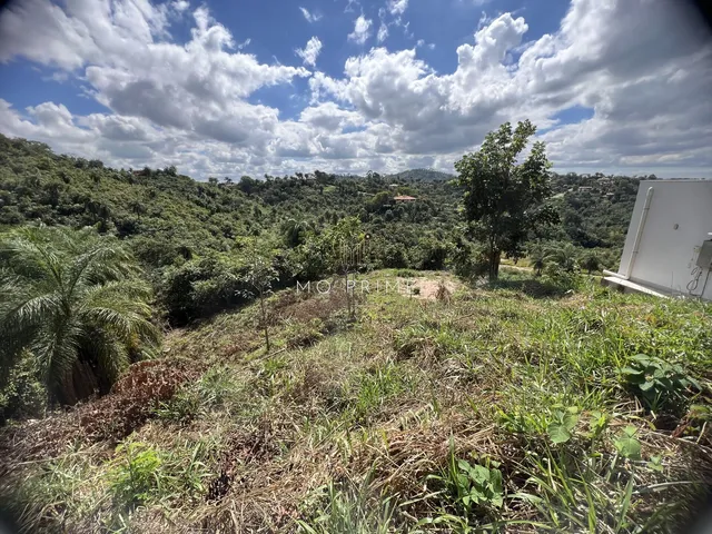 Imagem 14: Terreno Fundo para Um Lago no Condomínio Solar das Palmeiras