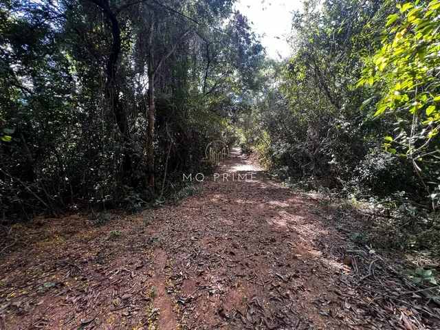 Imagem 5: Sitio de 21Mil M2 em Baldinho/Mg