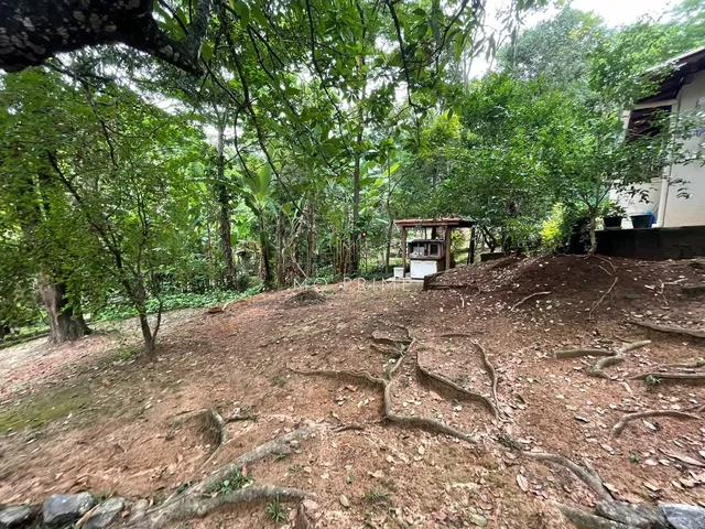 Imagem 13: Sítio de 3200M2 no Condominio Ipe Amarelo