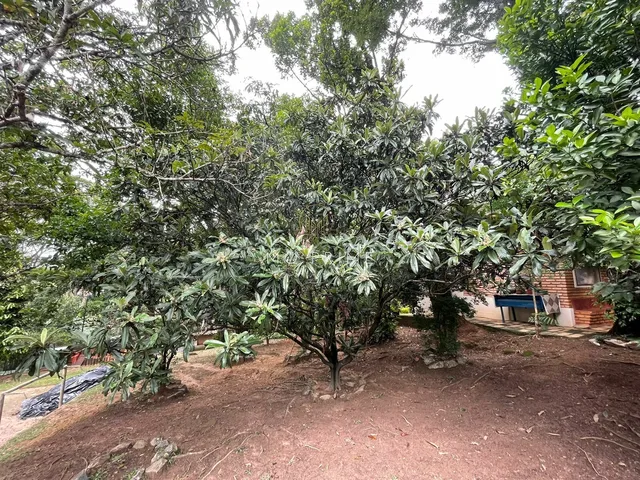 Imagem 7: Sítio de 3200M2 no Condominio Ipe Amarelo