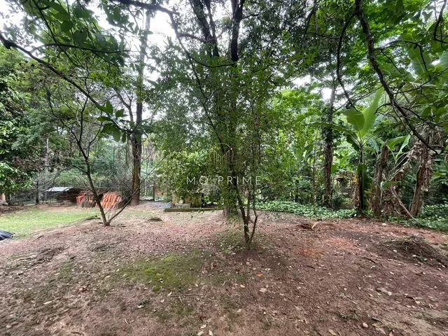 Imagem 6: Sítio de 3200M2 no Condominio Ipe Amarelo