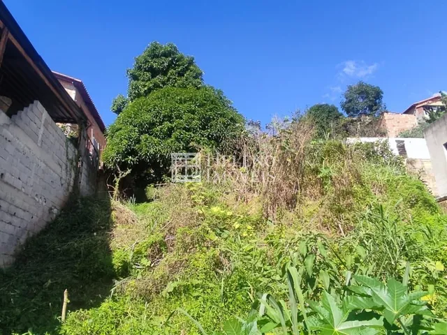 Imagem: Terreno Lote em São Damião, Vespasiano/Mg
