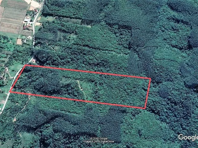 Imagem: Terreno em Biguaçu 100.188,00 M2 (10,18