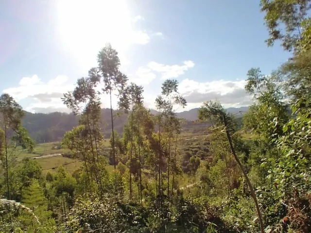 Imagem 10: Terreno em Biguaçu | 100.188,00 M2 (10,18 Hectares