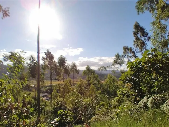 Imagem 7: Terreno em Biguaçu | 100.188,00 M2 (10,18 Hectares