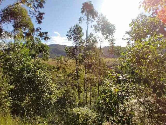 Imagem 2: Terreno em Biguaçu | 100.188,00 M2 (10,18 Hectares