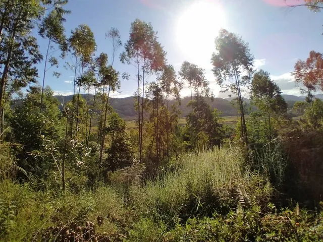 Imagem 12: Terreno em Biguaçu | 100.188,00 M2 (10,18 Hectares