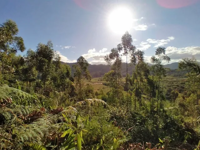 Imagem 13: Terreno em Biguaçu | 100.188,00 M2 (10,18 Hectares