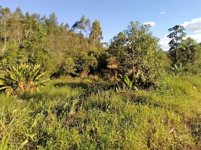 Imagem 15: Terreno em Biguaçu | 100.188,00 M2 (10,18 Hectares