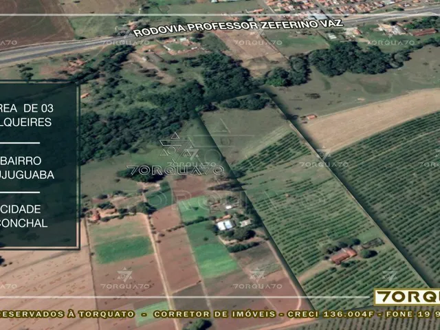 Imagem 15: Seu Sonho Rural em Conchal: Propriedade de 72.600 M² com Infraestrutura Completa!