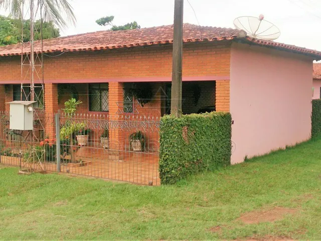 Imagem 7: Seu Sonho Rural em Conchal: Propriedade de 72.600 M² com Infraestrutura Completa!