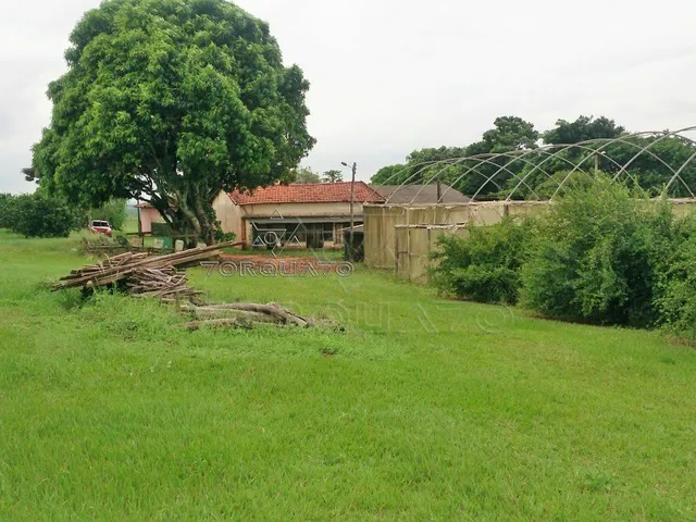 Imagem 13: Seu Sonho Rural em Conchal: Propriedade de 72.600 M² com Infraestrutura Completa!