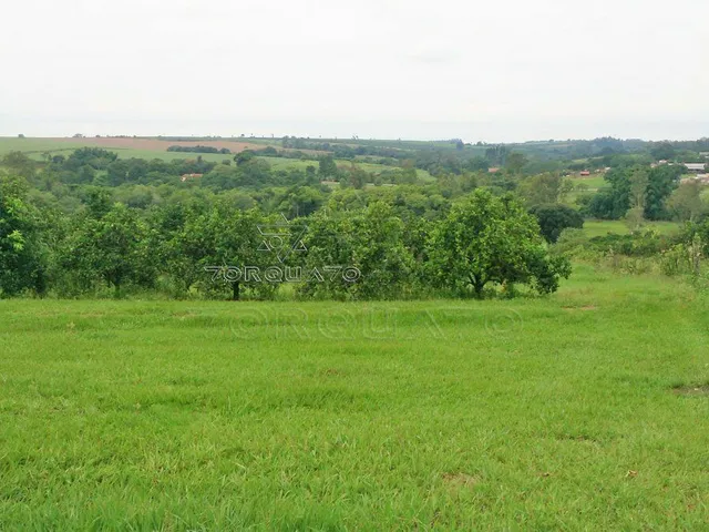 Imagem 8: Seu Sonho Rural em Conchal: Propriedade de 72.600 M² com Infraestrutura Completa!