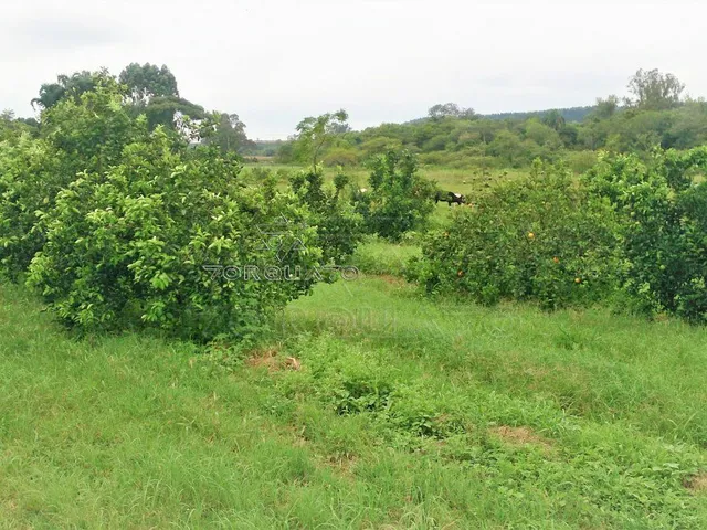 Imagem 12: Seu Sonho Rural em Conchal: Propriedade de 72.600 M² com Infraestrutura Completa!
