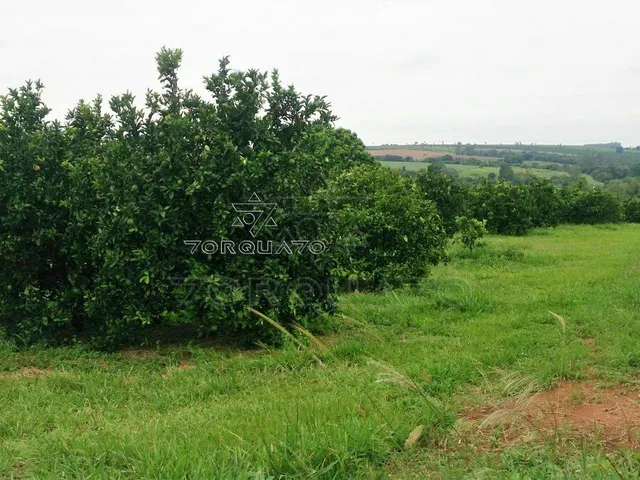 Imagem 4: Seu Sonho Rural em Conchal: Propriedade de 72.600 M² com Infraestrutura Completa!
