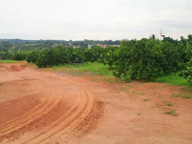 Imagem 10: Seu Sonho Rural em Conchal: Propriedade de 72.600 M² com Infraestrutura Completa!