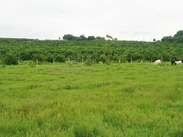 Imagem 3: Seu Sonho Rural em Conchal: Propriedade de 72.600 M² com Infraestrutura Completa!