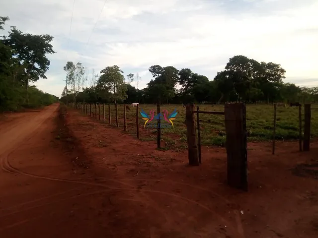 Imagem: Chácara com 7 Hectares