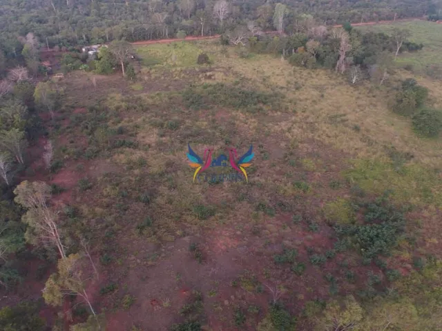Imagem 10: Chácara com 7 Hectares