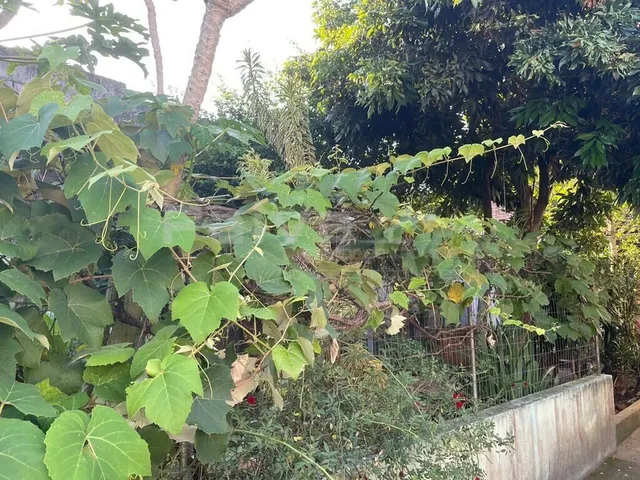 Imagem 2: Ótima Casa 03 Quartos com Suíte e Piscina, Ao Lado da Pestallozzi