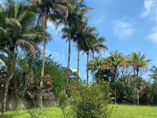 Imagem 3: Excelente Sítio com 5.000M² de Área com Sede, Piscina, Churrasqueiras, Pomar..