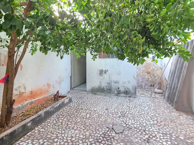 Imagem 4: Casa Térrea À Venda - Bairro Pio XII - Juazeiro do Norte/Ce