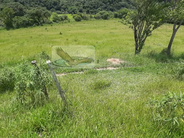 Imagem 12: Sítio para Venda em Mombuca Itatiba-Sp