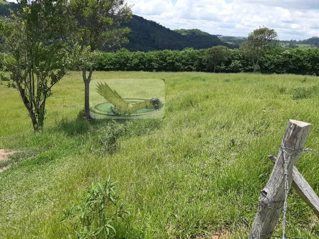 Imagem 9: Sítio para Venda em Mombuca Itatiba-Sp