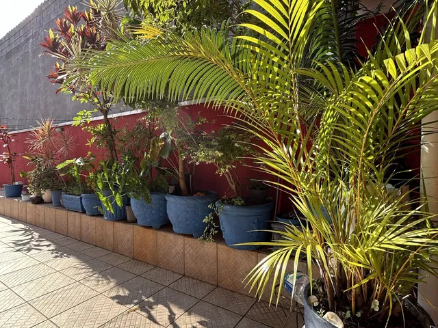 Imagem 2: Venda Sobrado 3 Dormitórios 340 M² R$1.007.000,00 - Jardim Haydee - Mauá/Sp