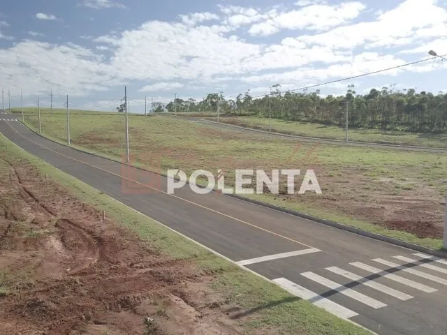 Imagem: Jardim dos Lírios Loteamento