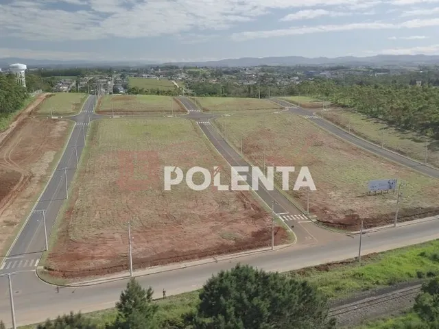 Imagem 7: Jardim dos Lírios Loteamento
