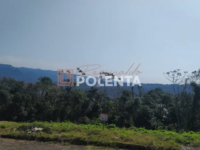 Imagem 7: Loteamento Vista Alegre