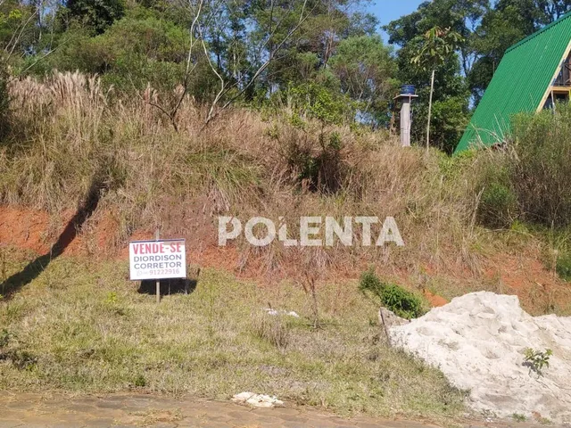 Imagem 8: Loteamento Vista Alegre