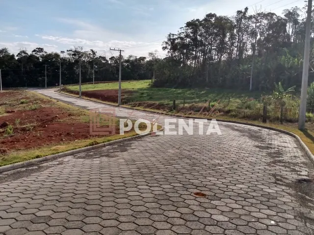 Imagem 3: Loteamento Vista Alegre