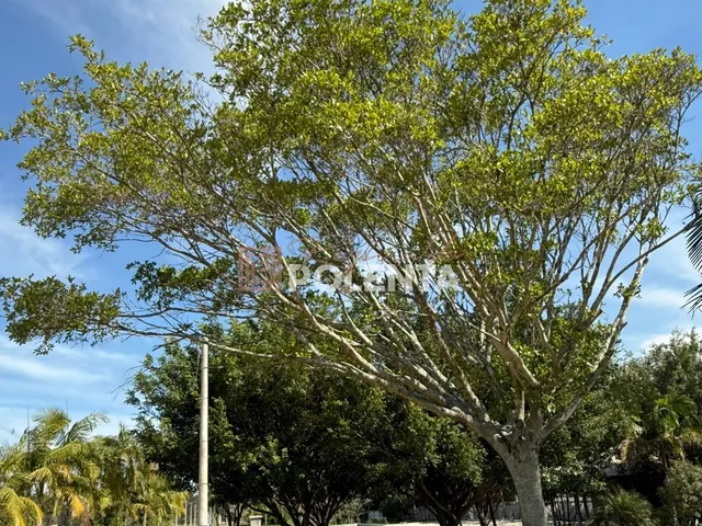 Imagem 7: Santa Marta Condomínio Residencial