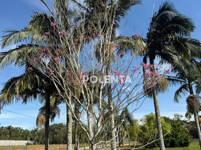 Imagem 15: Santa Marta Condomínio Residencial