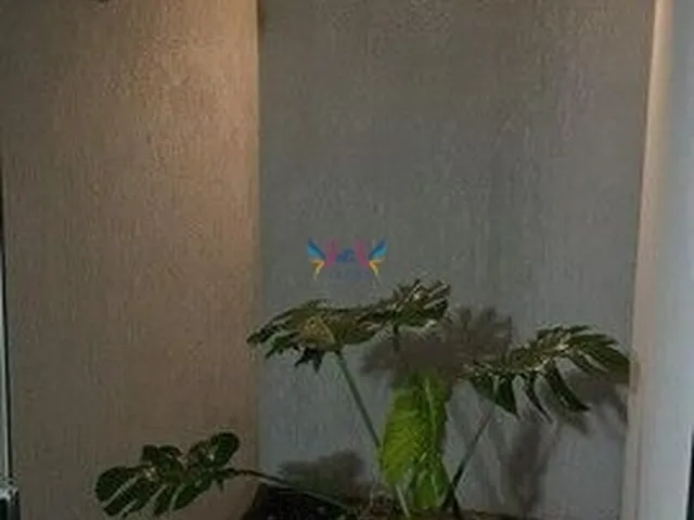 Imagem 6: Casa para venda MORADA DOS DEUSES - Campo Grande/MS