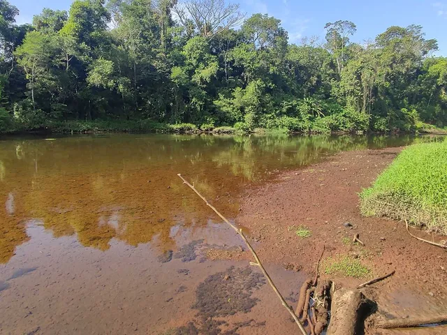 Imagem: Área À Venda no Bairro Vila das Palmeiras