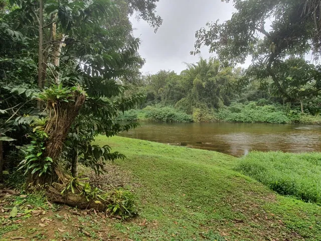 Imagem 9: Área À Venda no Bairro Vila das Palmeiras - Morretes/Pr, Urbana