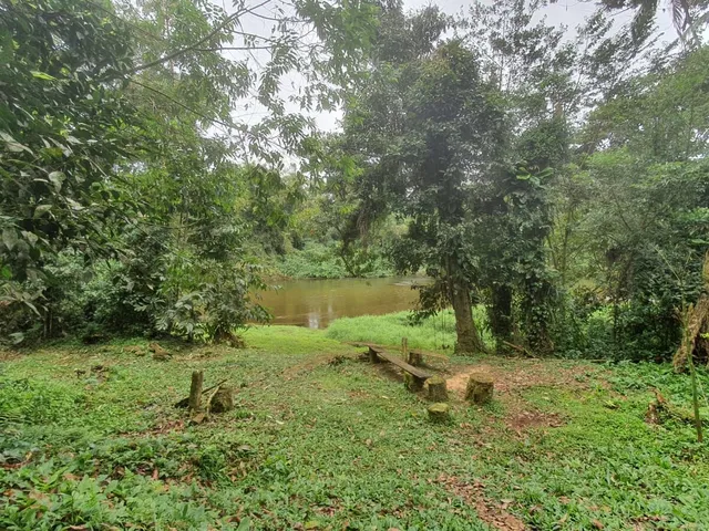 Imagem 3: Área À Venda no Bairro Vila das Palmeiras - Morretes/Pr, Urbana