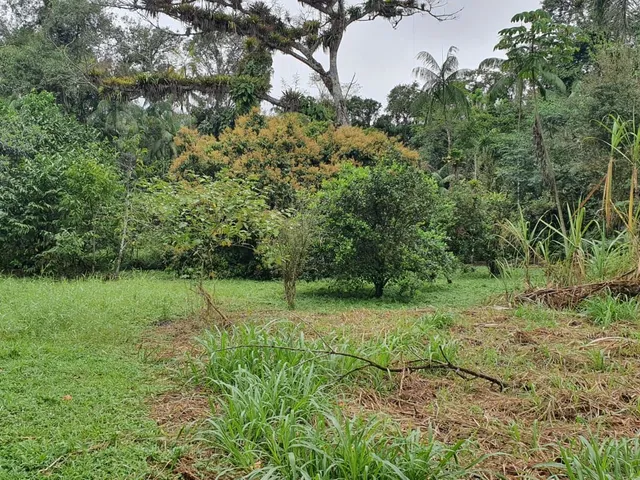 Imagem 2: Área À Venda no Bairro Vila das Palmeiras - Morretes/Pr, Urbana