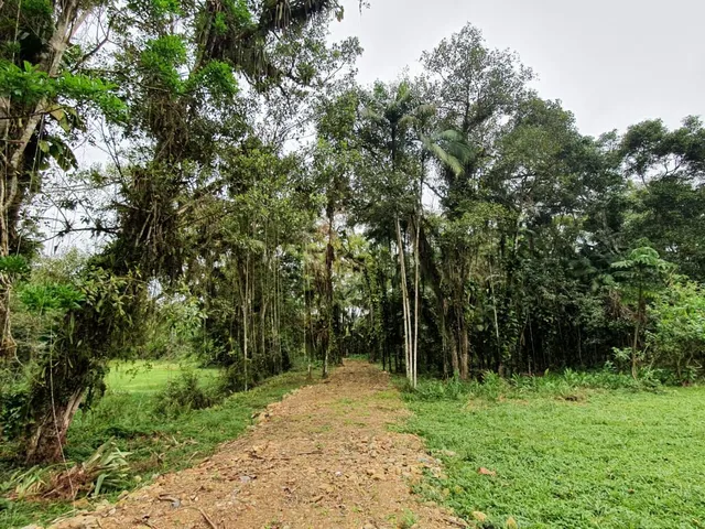 Imagem 5: Área À Venda no Bairro Vila das Palmeiras - Morretes/Pr, Urbana