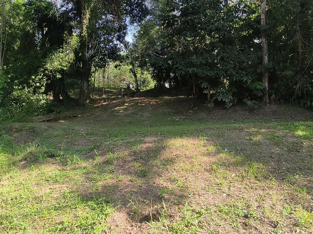 Imagem 13: Área À Venda no Bairro Vila das Palmeiras - Morretes/Pr, Urbana