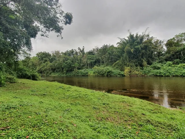 Imagem 7: Área À Venda no Bairro Vila das Palmeiras - Morretes/Pr, Urbana
