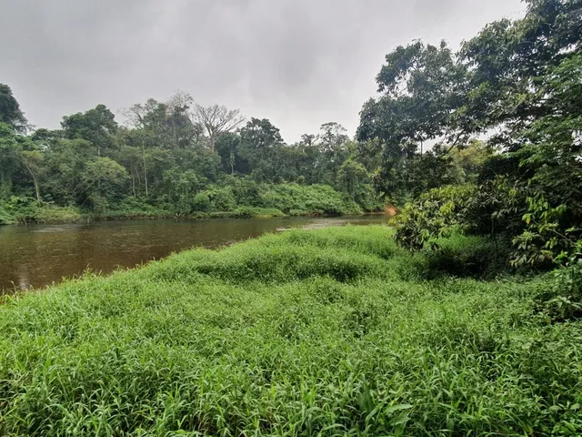 Imagem 4: Área À Venda no Bairro Vila das Palmeiras - Morretes/Pr, Urbana