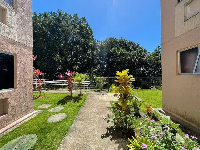 Imagem 11: Alto do Picuaia Apartamento com 3 dormitórios
