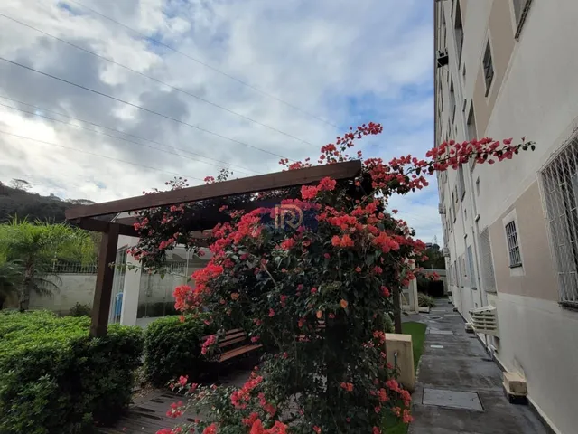 Imagem 3: Apartamento no Roçado em São José