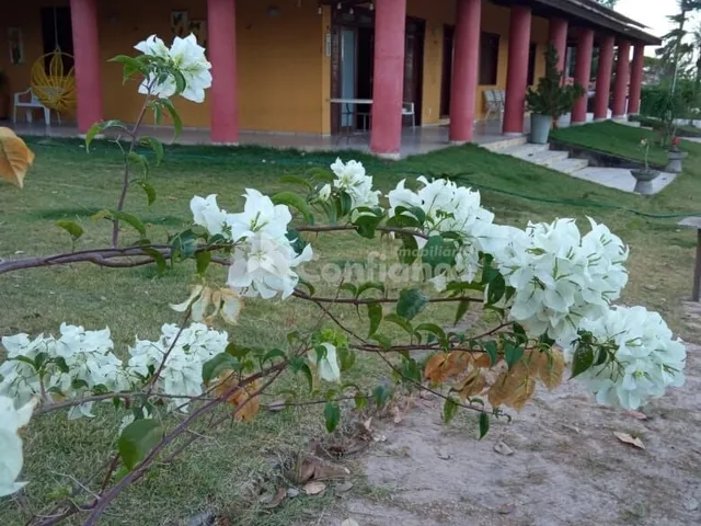 Imagem: Sitio À Venda em Caucaia no Coité Pedreiras