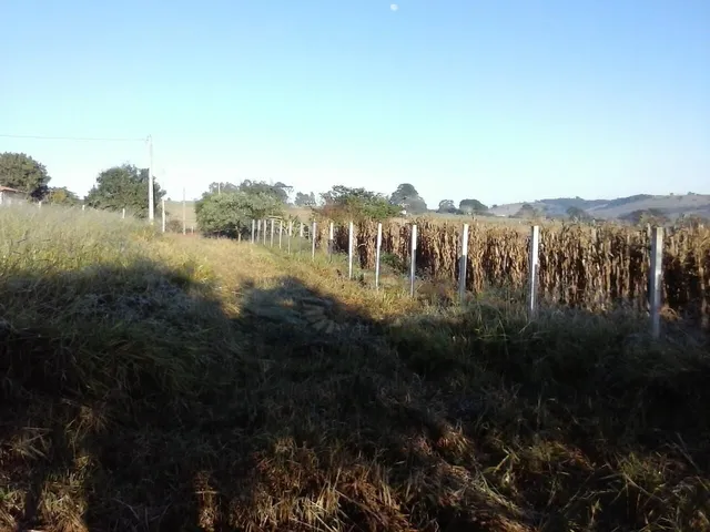 Imagem 14: Terreno para Alugar no Bairro Sítio da Moenda - Itatiba/Sp